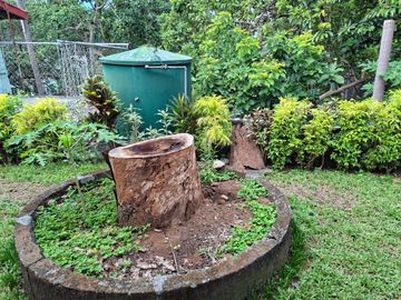 For Sale! 1,270 SQM Lot with Classic House Along Hibiscus Street, Beverly Hills Subdivision, Barangay Dolores, Taytay, Rizal