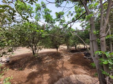 VENTA DE CASA DE CAMPO 🏡 EN CIENEGUILLA ☀ AV. MALECÓN LURÍN (SEGUNDA ETAPA)
