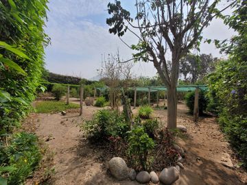 VENTA DE CASA DE CAMPO 🏡 EN CIENEGUILLA ☀ AV. MALECÓN LURÍN (SEGUNDA ETAPA)