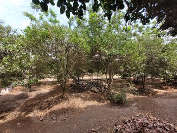 VENTA DE CASA DE CAMPO 🏡 EN CIENEGUILLA ☀ AV. MALECÓN LURÍN (SEGUNDA ETAPA)