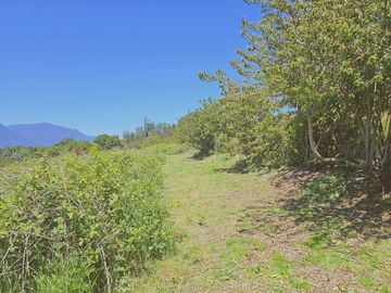 Venta de Terreno 5000 M2-rol propio - Vista, Lago Panguipulli y Volcán Villarrica