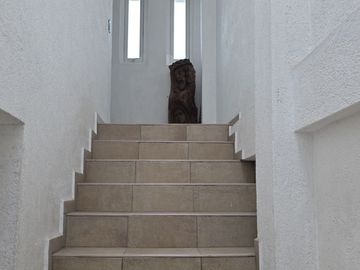 Casa en Venta en Residencial Foresta Metepec