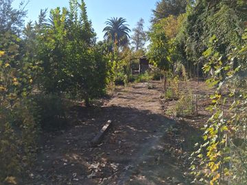 Parcela 5000 m2 / 2 casas