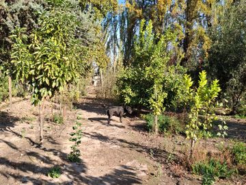 Parcela 5000 m2 / 2 casas