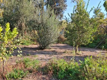 Parcela 5000 m2 / 2 casas