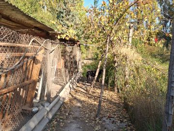 Parcela 5000 m2 / 2 casas