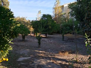 Parcela 5000 m2 / 2 casas
