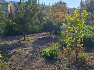 Parcela 5000 m2 / 2 casas