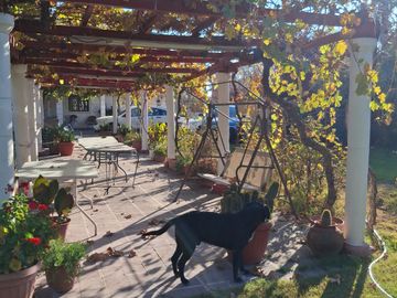 Parcela 5000 m2 / 2 casas