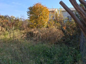 Parcela 5000 m2 / 2 casas
