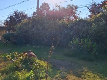 Parcela 5000 m2 / 2 casas