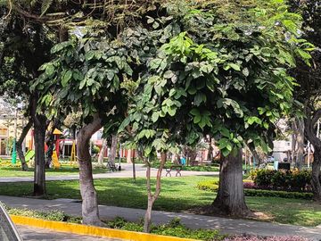 LQUILER: LINDO Y AMPLIO DEPARTAMENTO DE 1 DORM. Y 1er.PISO SAN BORJA...