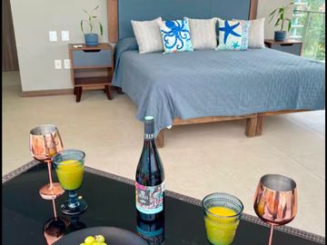 EXCELENTE DEPARTAMENTO EN VENTA EN MARINA VALLARTA