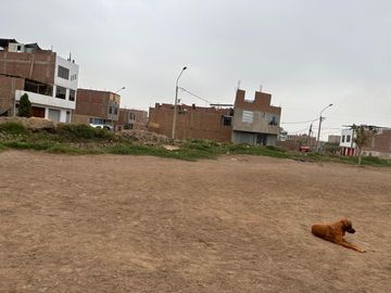 TERRENO EN VENTA EN PUENTE PIEDRA INCSRITO EN RRPP