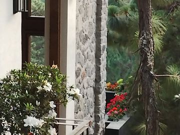 CASA EN ZONA BOSCOSA TIPO ESTUDIO EN CUERNAVACA
