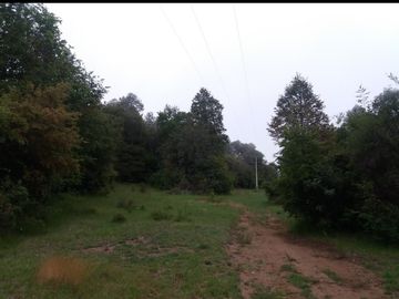 SE VENDE TERRENO AGRICOLA, CAMINO A LA TERMAS DE CHILLAN, SECTOR PINTO, MACAL ALTO, REGIÓN DE ÑUBLE