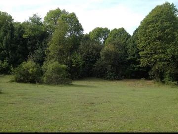 SE VENDE TERRENO AGRICOLA, CAMINO A LA TERMAS DE CHILLAN, SECTOR PINTO, MACAL ALTO, REGIÓN DE ÑUBLE