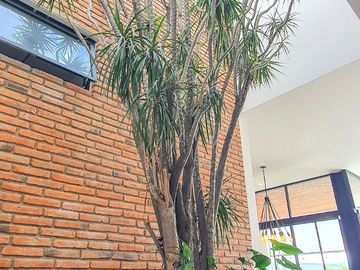 250.69 m² de terreno | 357 m² de construcción | 3 recámaras | 3.5 baños | Vista espectacular
