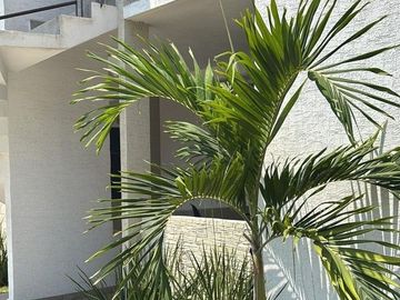 Departamento en Venta en Manzanillo, Palmas del Sol