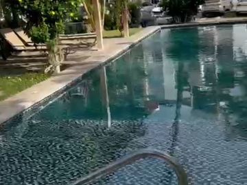 Departamento en Venta en Manzanillo, Palmas del Sol