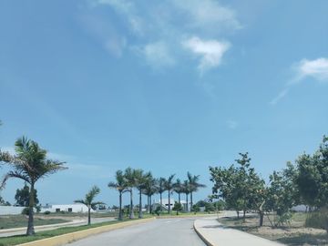 Venta De Terreno En Flamencos Condominio & Resort – Exclusividad Y Naturaleza En Perfecta Armonía ✨🌿