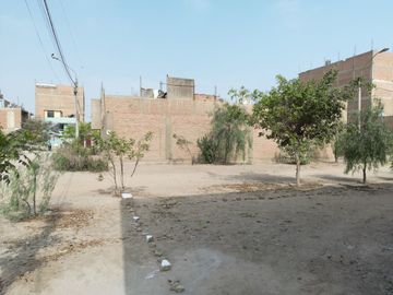 Terrenos Urbano En Puente Piedra - Los Ciruelos - Opción De Compra Conjunta