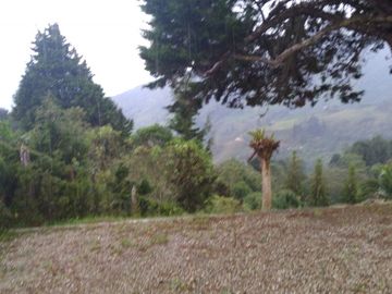 Venta hermosa Finca, Vereda Montañita, Copacabana Antioquia.