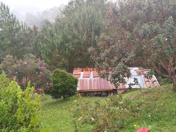 Venta hermosa Finca, Vereda Montañita, Copacabana Antioquia.
