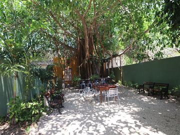 Casa Colonial en el Centro de Merida