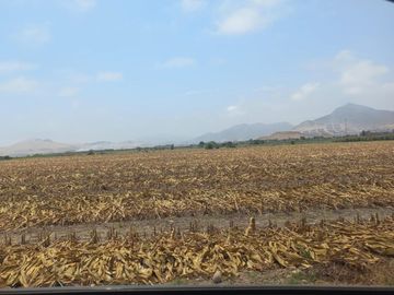 (V) VENDO PANAMERICANA NORTE KLM 87 CON 29,000 M2
