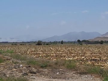 (V) VENDO PANAMERICANA NORTE KLM 87 CON 29,000 M2