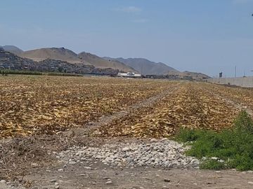 (V) VENDO PANAMERICANA NORTE KLM 87 CON 29,000 M2