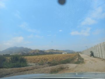 (V) VENDO PANAMERICANA NORTE KLM 87 CON 29,000 M2