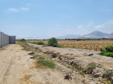 (V) VENDO PANAMERICANA NORTE KLM 87 CON 29,000 M2