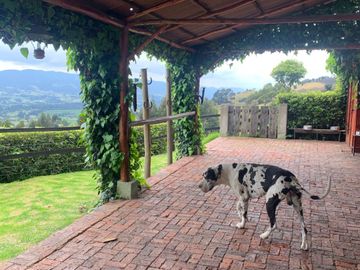 Hermosa finca Subachoque