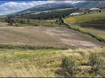 ¡DE OPORTUNIDAD! FINCA FLORICOLA EN VENTA, COCHAQUI