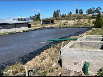 ¡DE OPORTUNIDAD! FINCA FLORICOLA EN VENTA, COCHAQUI