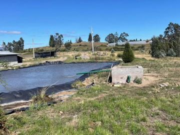 ¡DE OPORTUNIDAD! FINCA FLORICOLA EN VENTA, COCHAQUI