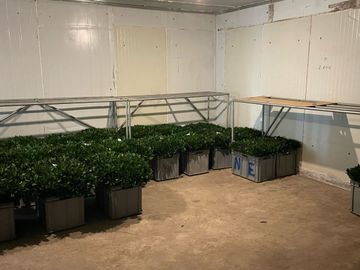 ¡DE OPORTUNIDAD! FINCA FLORICOLA EN VENTA, COCHAQUI