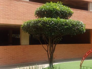 VENTA DE APARTAMENTO