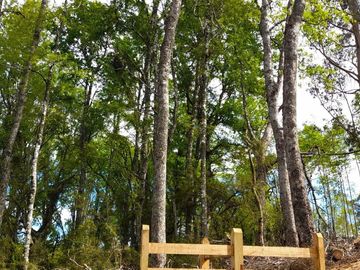 Refugio Las Loicas – Parcelas con Vista al Volcán Villarrica
