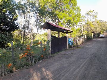 VENTA FINCA PRODUCTIVA LA CUMBRE