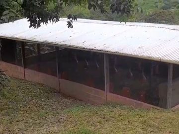VENTA FINCA PRODUCTIVA LA CUMBRE