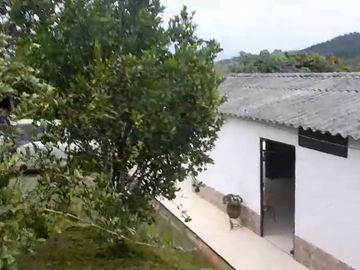 VENTA FINCA PRODUCTIVA LA CUMBRE