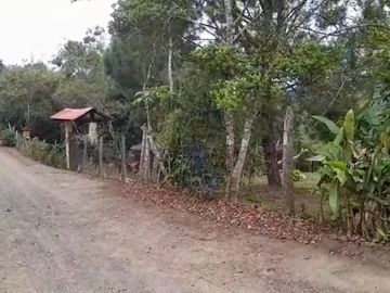 VENTA FINCA PRODUCTIVA LA CUMBRE