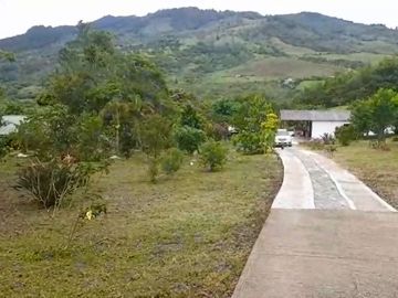VENTA FINCA PRODUCTIVA LA CUMBRE