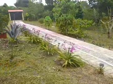 VENTA FINCA PRODUCTIVA LA CUMBRE