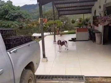 VENTA FINCA PRODUCTIVA LA CUMBRE