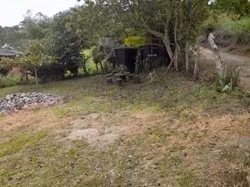 VENTA FINCA PRODUCTIVA LA CUMBRE