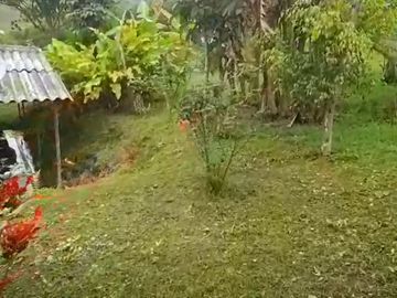 VENTA FINCA PRODUCTIVA LA CUMBRE